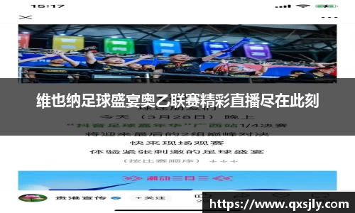 维也纳足球盛宴奥乙联赛精彩直播尽在此刻